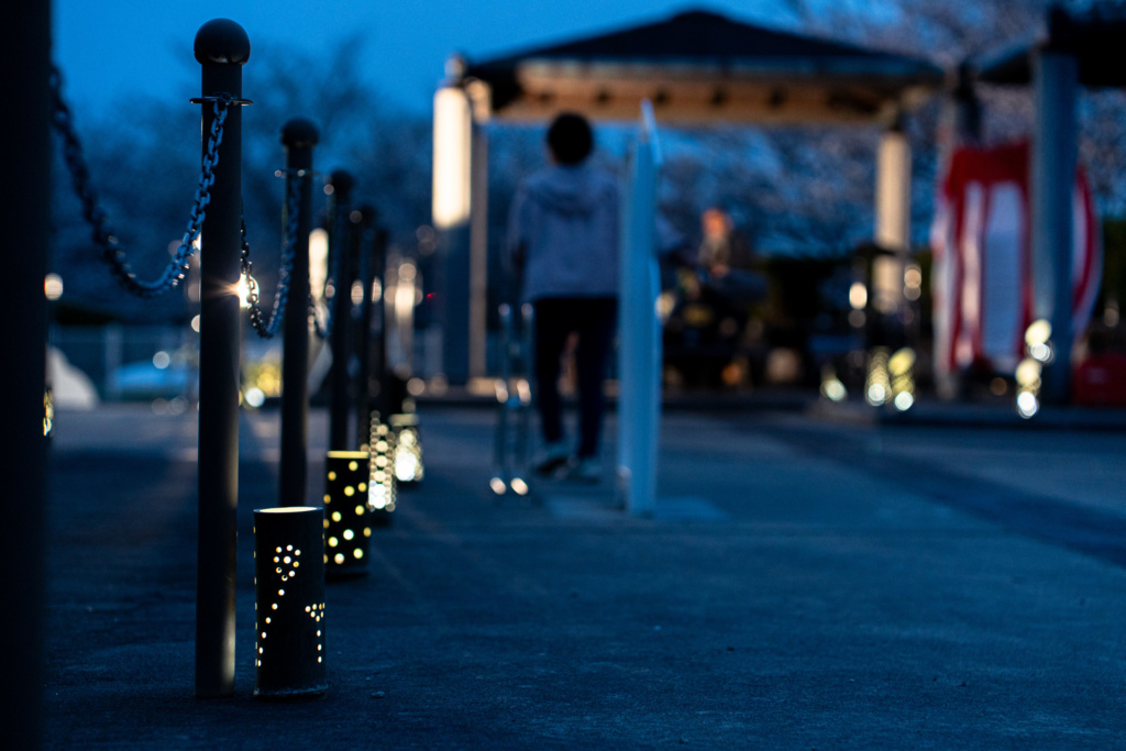 幻想的だった3月開催の「さくらまつり」での夜間開放の様子